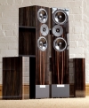 Living Voice Avatar IBX-R4  Gloss Ebony