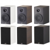 Paradigm Premier 100B