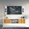 PSB CS PWM1