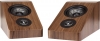 Polk Audio Reserve R900
