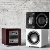 Audiovector QR SUB