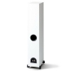 Paradigm Monitor SE 3000F