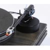 Pear Audio Blue Cornet 2
