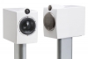 Morel Octave 6 Bookshelf