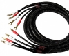 Tone Winner SC-1
