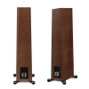Paradigm Founder 80F