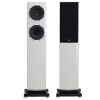 Fyne Audio F501