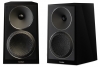 Paradigm Founder 40B