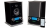 McIntosh RS100