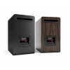 Acoustic Energy AE100-2