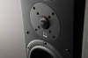 SVS Prime Pinnacle, black ash