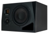 Adam Audio A8H