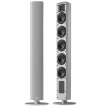 Piega Ace 50 Wireless RX