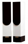 Living Voice Auditorium R25A White / Black