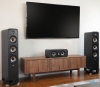 Polk Audio Signature Elite ES30
