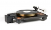 Zavfino Copperhead-X (Aeshna Carbon tonarm)