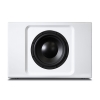Bluesound Pulse SUB Plus