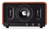 AirPulse P100X